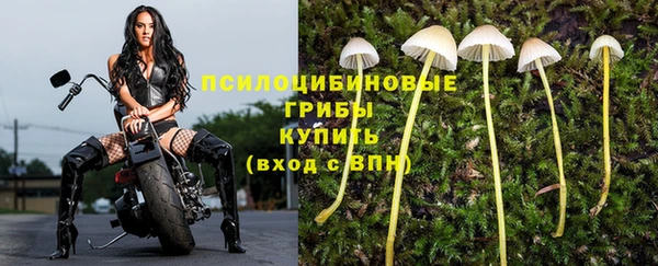 метадон Аркадак