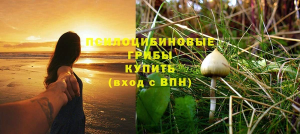 стаф Арсеньев