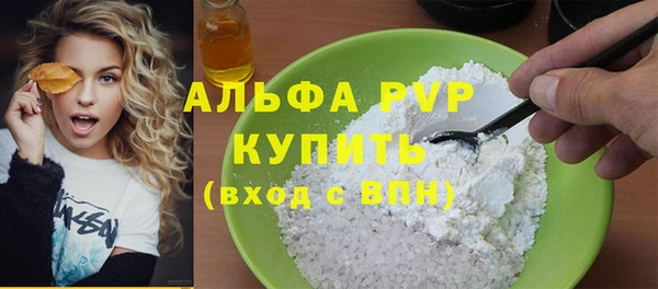 стаф Арсеньев