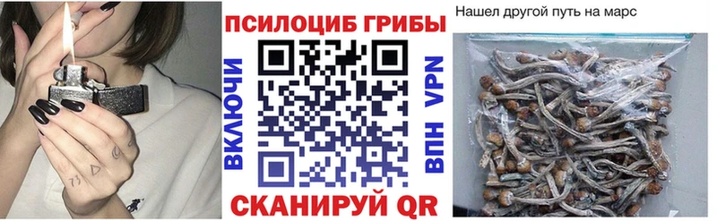 MEGA ONION  Соль-Илецк  Псилоцибиновые грибы Cubensis  закладки 
